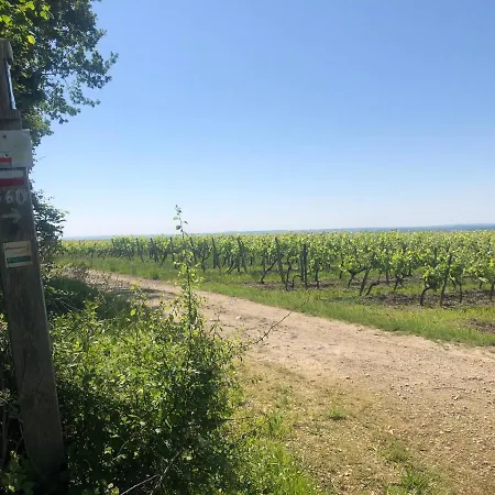 Grande Maison Charentaise Modulable A Cote De Cognac Cherac